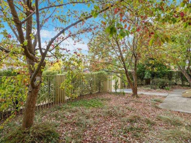 Apartment for rent in Braddon, Australian Capital Territory