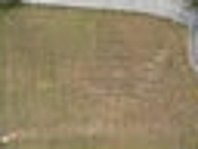 Land for sale in Fairburn, Northland