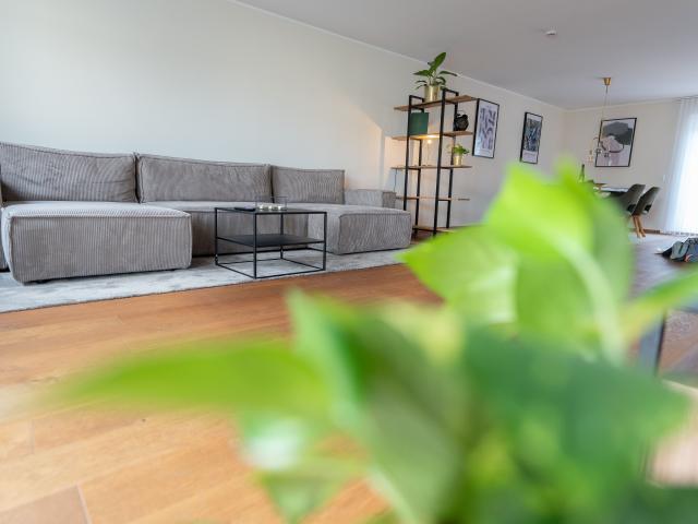 Apartment mieten in Mitte, Bielefeld