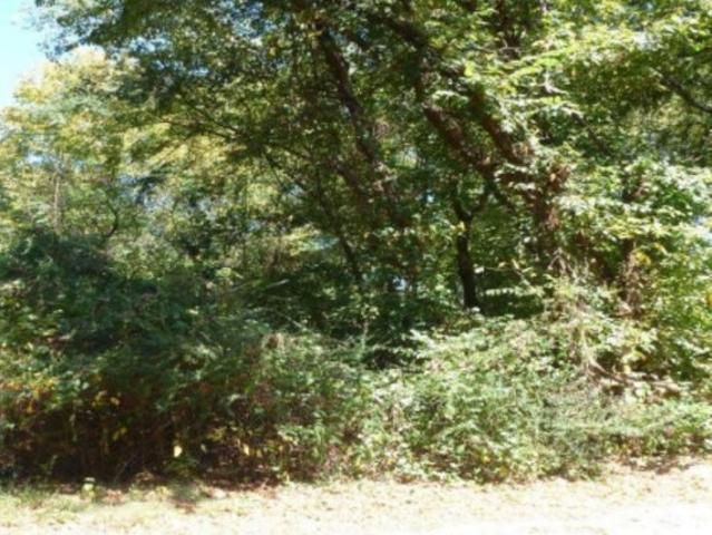 Land for sale in Florence, Alabama
