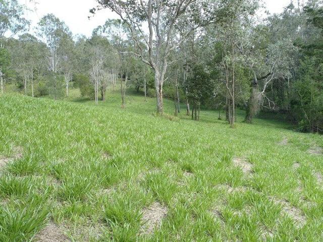 Land for sale in Brookfield, Greater Brisbane