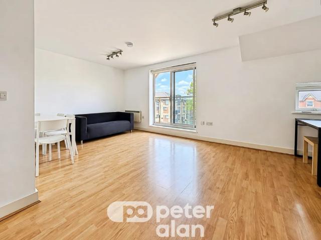 Apartment for rent in Plasnewydd, Falcon Lodge