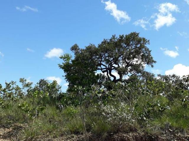 Sítio e chácara venda em Região Geográfica Imediata de Águas Lindas de Goiás, Região Integrada de Desenvolvimento do Distrito Federal e Entorno
