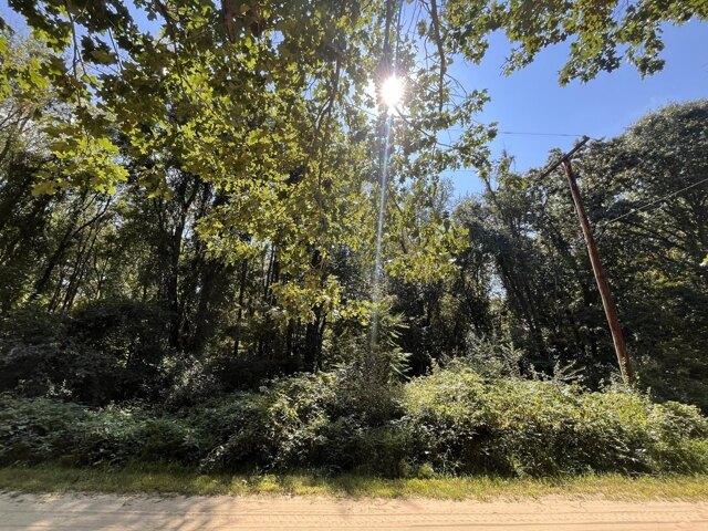 Land for sale in Grass Lake, Michigan