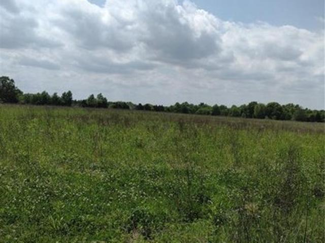 Farm for sale in Middletown, Missouri