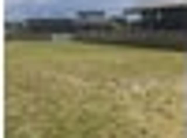 Land for sale in Northland