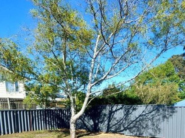 Land for sale in Mount Melville, Albany