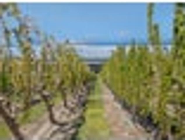Land for sale in Otakou