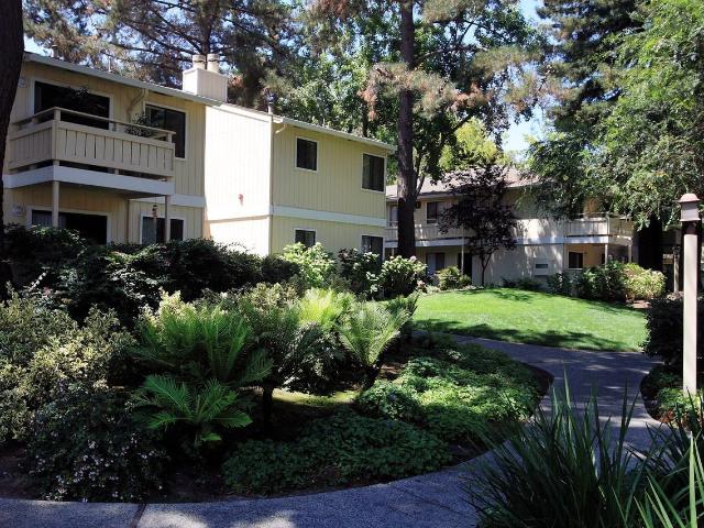Apartment for rent in Sunnyvale, California