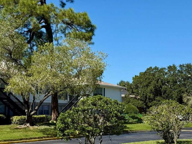 Apartment for rent in Largo, Florida