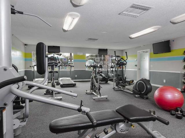 Apartment for rent in Winter Park, Florida