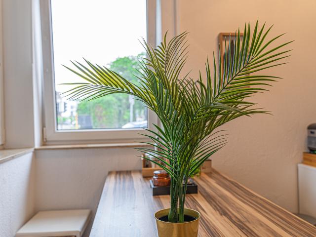 Apartment mieten in Keldenich, Wesseling