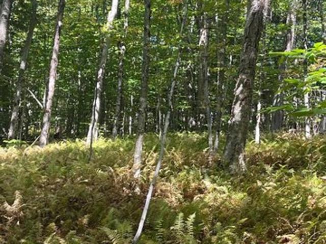 Land for sale in Florida, New York