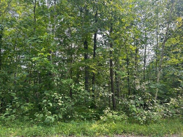 Land for sale in Garrison, Minnesota