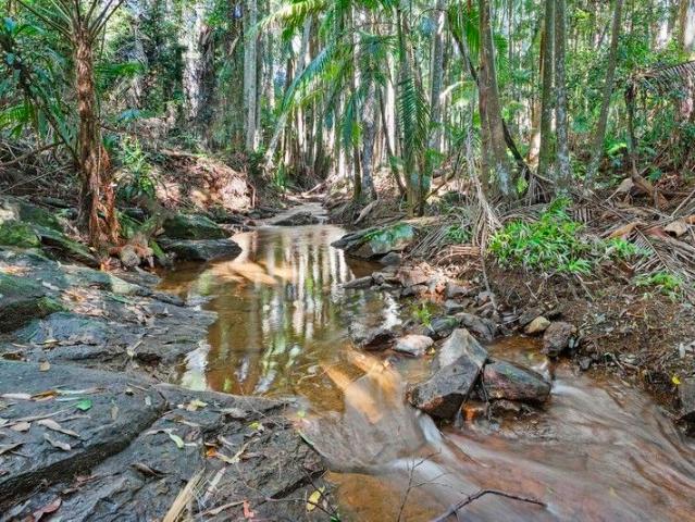 Land for sale in Tamborine Mountain Land for sale in Tamborine Mountain