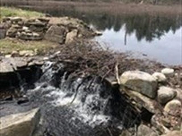 Land for sale in Sutton, Massachusetts