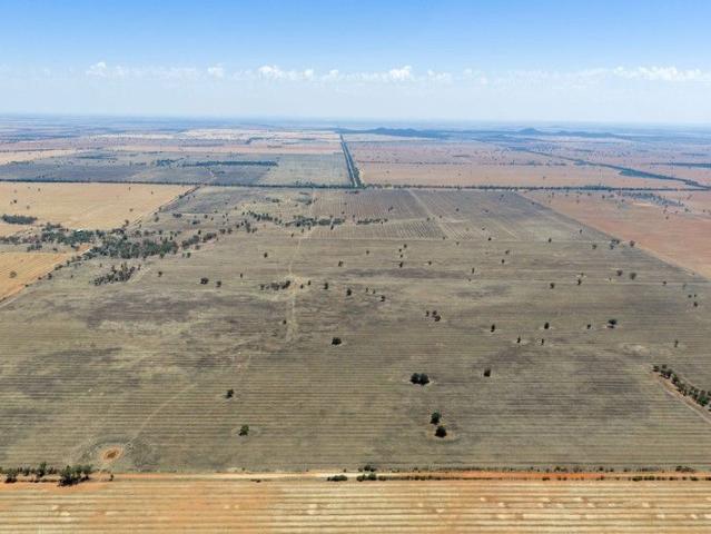 Cottage for sale in Tullibigeal, New South Wales