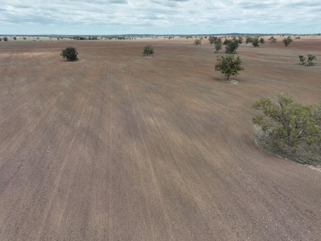 Acreage for sale in Tullamore, New South Wales