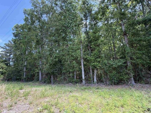 Land for sale in Florala, Alabama
