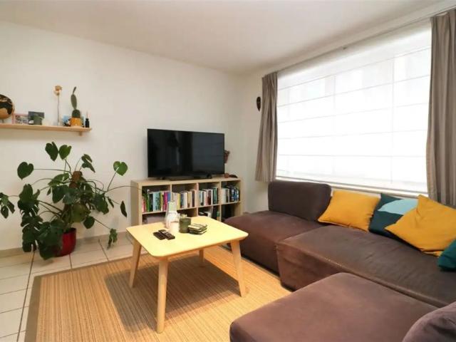 Maison location à Aarschot, Brabant