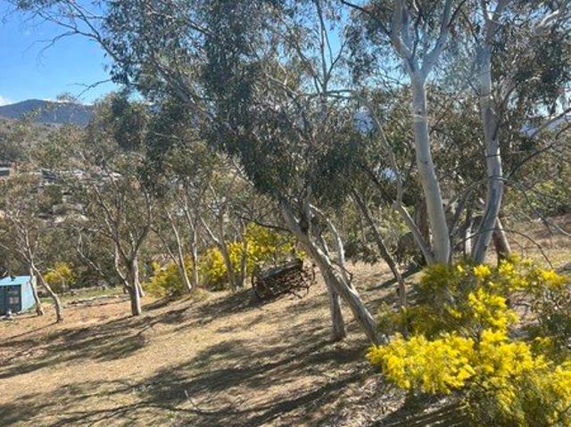 House for rent in Jindabyne, Snowy Monaro Regional Council