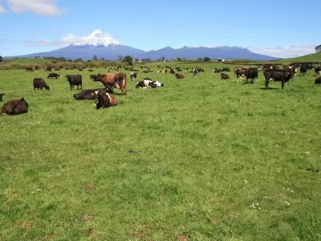 House for rent in Inglewood, Taranaki