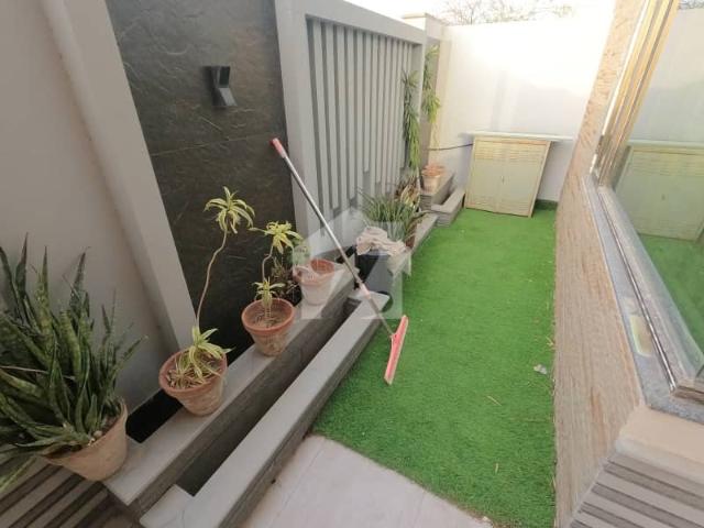 House for rent in North Waziristan, Federally Administered Tribal Areas fata