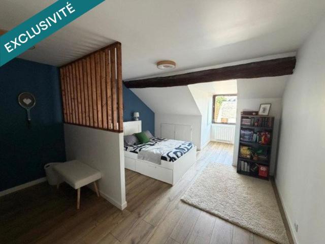 Maison vente à Orléans, Saint-denis-de-l'hôtel