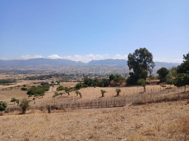 Propriété vente à Tétouan, Tanger-Tétouan