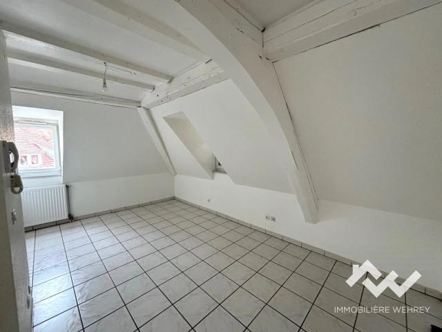 Appartement location à Sarrebourg-Château-Salins, Munster
