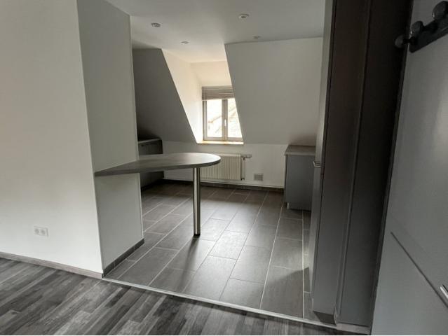 Appartement location à Sarrebourg-Château-Salins, Munster