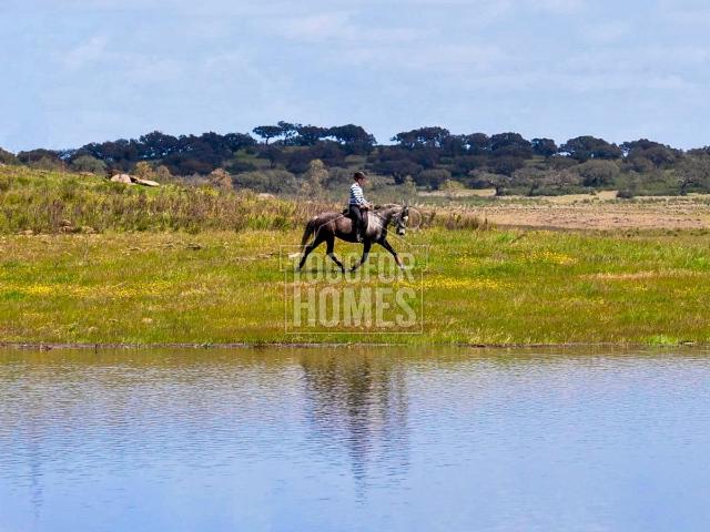 Vivenda venda em Ourique, Beja