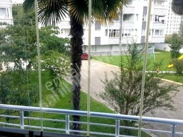 Ordu içerisinde kiralık mülk