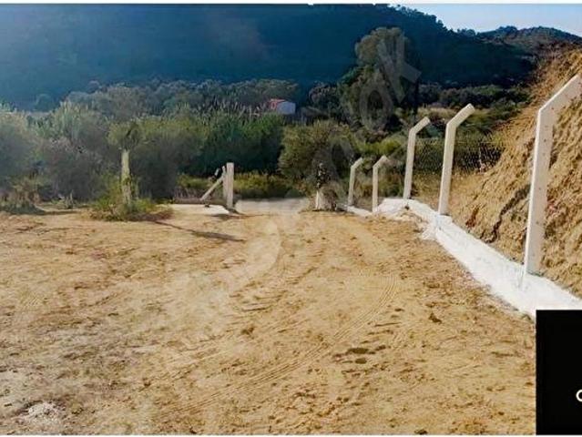 Dağkaraağaç, Germencik içerisinde satılık mülk