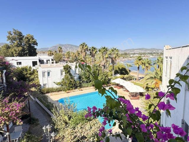 Bodrum, Muğla içerisinde satılık mülk