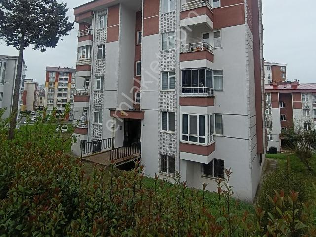 Ordu içerisinde kiralık mülk
