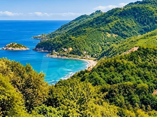 Ordu içerisinde satılık mülk