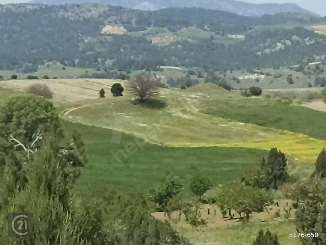 Küre, Söğüt içerisinde satılık Arsa