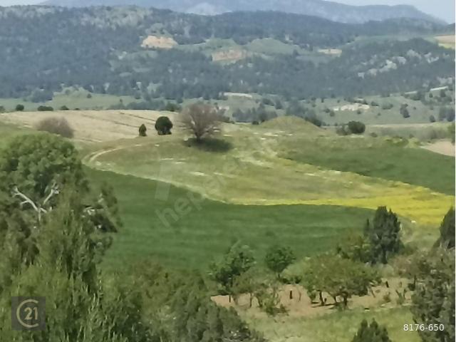 Küre, Söğüt içerisinde satılık Arsa