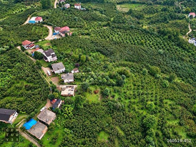 Ordu içerisinde satılık Arsa