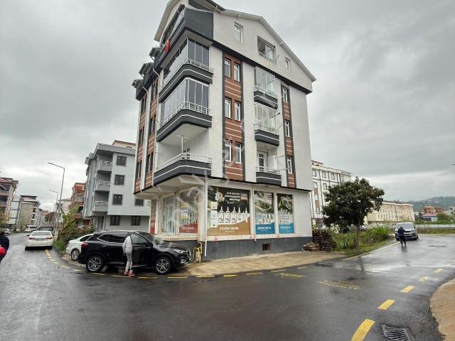 Ordu içerisinde satılık mülk