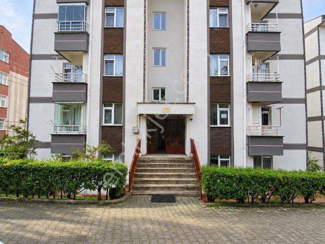 Ordu içerisinde kiralık mülk