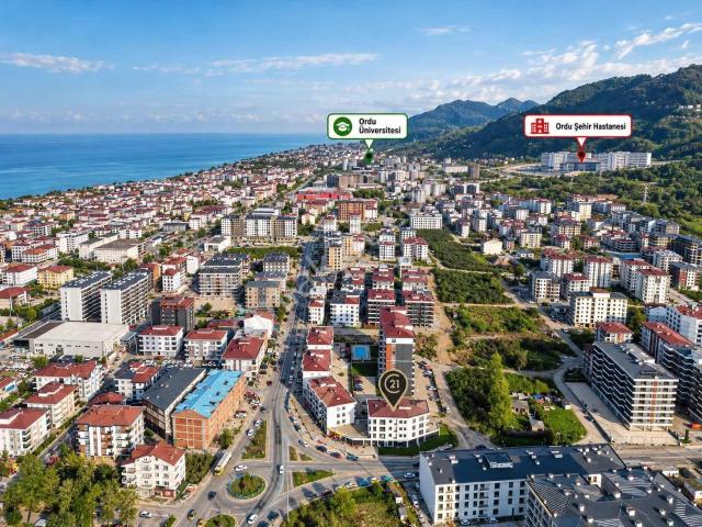Ordu, Altınordu içerisinde kiralık mülk