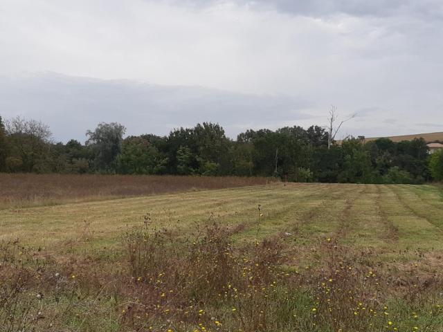 Terrain vente à Toulouse, Cépet