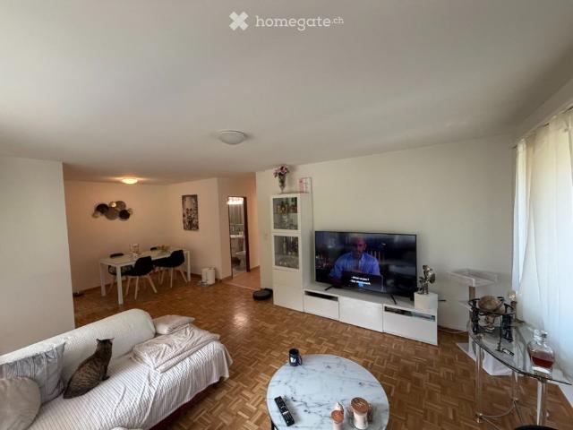 Apartment mieten in Roveredo GR, Moësa