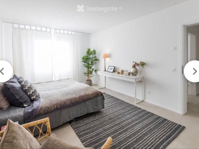 Apartment mieten in Rivera, Monteceneri
