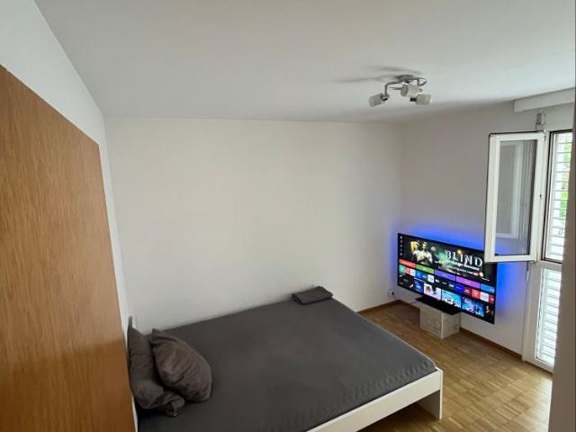 Apartment mieten in Quartiere Maghetti, Lugano