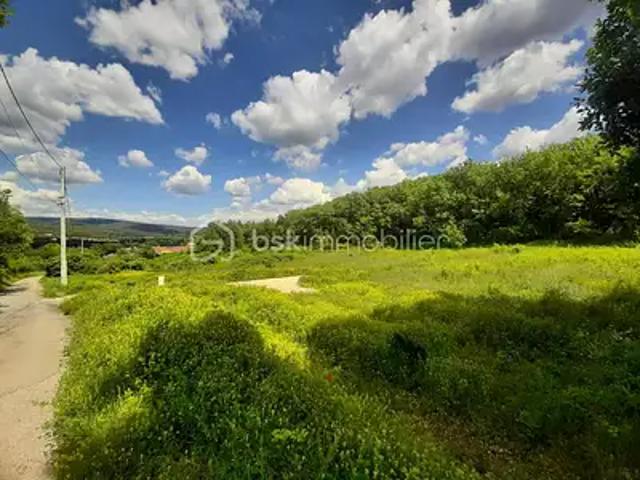 Terrain vente à Forcalquier, Céreste