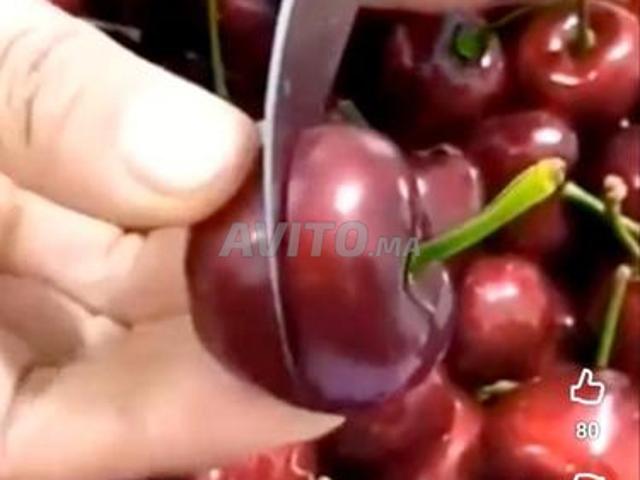 Propriété vente à Ifrane