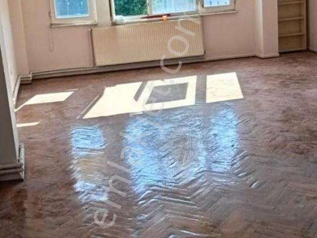 İstanbul Merkez, İstanbul içerisinde kiralık mülk